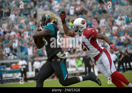 Jacksonville Jaguars tight end Danny Noble during an NFL football game  against the Cleveland Browns Sunday, Dec. 1, 2013, in Cleveland.  Jacksonville won 32-28. (AP Photo/David Richard Stock Photo - Alamy