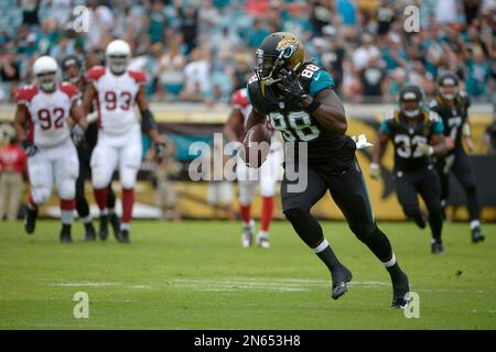 Jacksonville Jaguars tight end Danny Noble during an NFL football