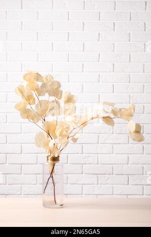 Dried eucalyptus branches in vase on table against white brick wall Stock Photo