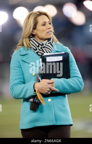NFL Network reporter Alex Flanagan watches from the sideline during the