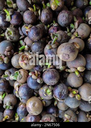 Pile of fresh mangosteen. Mangosteen fruit in market Stock Photo