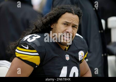 Pittsburgh Steelers strong safety Troy Polamalu (43) watches the replay on  his recovery of a Houston Texans fumble in the fourth quarter of the  Steelers 30-23 winat Heinz Field in Pittsburgh on October 20, 2014.  UPI/Archie Carpenter Stock Photo - Alamy