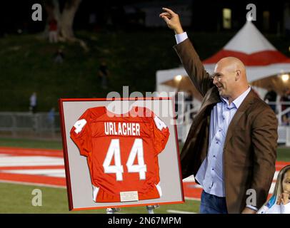 Former New Mexico and Chicago Bears football player Brian Urlacher applauds  on the field as his jersey number is retired during a halftime ceremony at  an NCAA college football game against Air