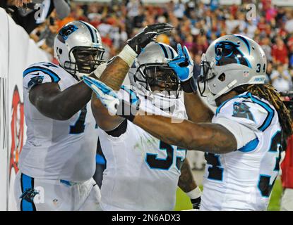 Mike Tolbert Blasts Up the Middle for a Panthers TD!