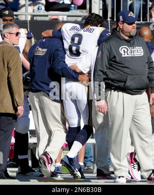 Tennessee Titans Cortland Finnegan intercepts a St. Louis Rams Sam Bradford  pass in the first quarter