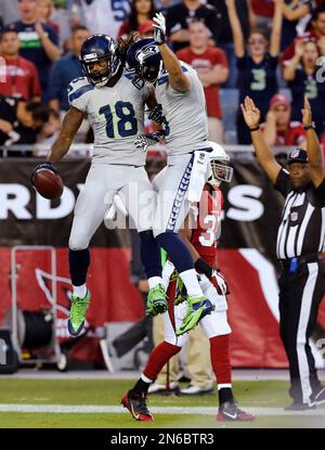 Seattle Seahawks wide receiver Sidney Rice sets set to complete a