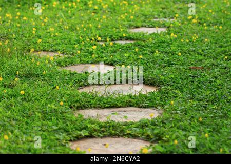 Footpath in outdoor garden, stepping stones in grassy lawn. Stock Photo