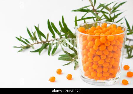 Sea buckthorn. Fresh ripe berries in a glass with leaves on a branch isolated on white background. concept of healthy drinks and herbs, healthy food Stock Photo
