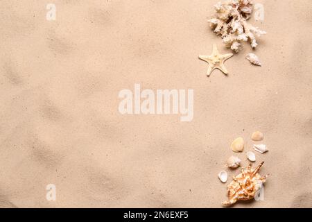 Flat lay composition with seashells on sand beach, space for text. Summer vacation Stock Photo