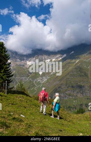 Hikers, senior citizens at the Gruenbodenalm, Gruenbodenhuette, on the Panorama Trail, Pfelders, Pfelderer Tal, Texel Group nature Park, South Tyrol Stock Photo