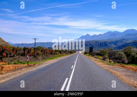 Huisrivier Pass Road, through the Klein Karoo, Route 62, Western Cape, South Africa Stock Photo