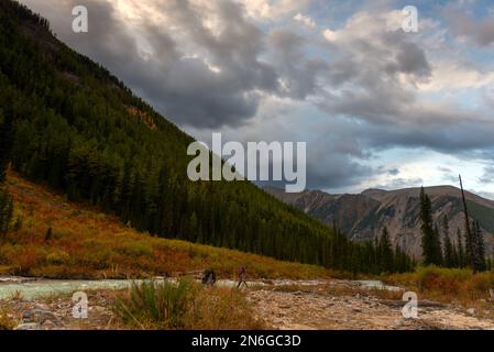 A girl fisherman walks along the bank of an alpine river and catches fish in the Altai mountains under thick clouds near a forest in Siberia. Stock Photo
