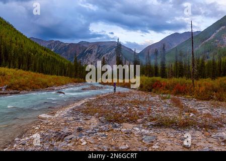A girl fisherman walks along the bank of the alpine river Shavla and catches fish in the Altai mountains under thick clouds near a forest in Siberia i Stock Photo