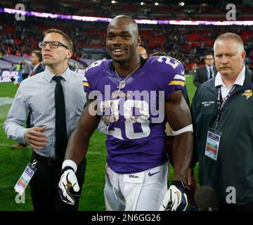 Minnesota Vikings running back Adrian Peterson walks off the field  following their NFL football game against the Pittsburgh Steelers at  Wembley Stadium, London, Sunday,Sept. 29, 2013. The Vikings defeated the  Steelers 34-27. (