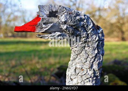 Art in the open landscape on natural structures, oak branch painted as a swan's neck, Middle Elbe Biosphere Reserve, Dessau-Rosslau, Saxony-Anhalt Stock Photo