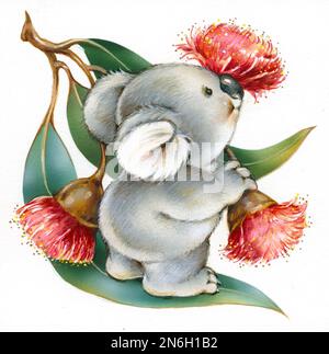 Koala character with red flowering gumnuts Stock Photo