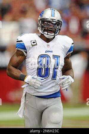 Detroit Lions wide receiver Calvin Johnson (81) celebrates his 33-yard  touchdown with teammate Edwin Mulitalo against the Indianapolis Colts  during the second quarter at Lucas Oil Field in Indianapolis on December 14