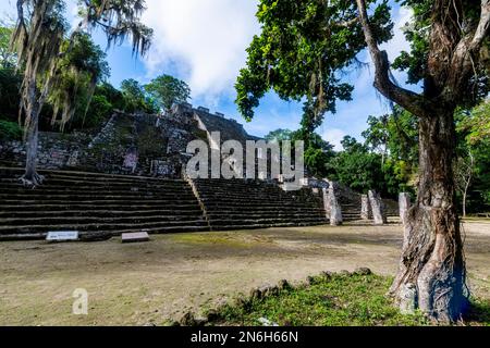 Unesco world heritage site Calakmul, Campeche, Mexico Stock Photo