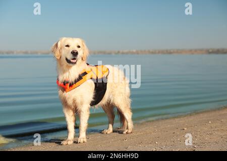 Dog rescuer in life vest on beach near river Stock Photo