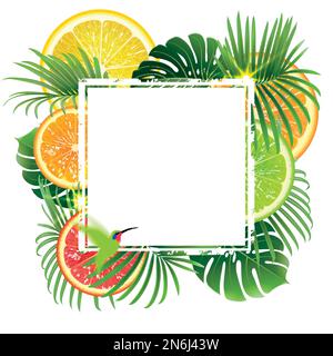 white banner on a background of tropical plants and citrus fruits with a green hummingbird Stock Vector