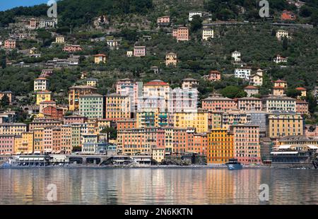 Historical Old Town Camogli with colorful houses and beach in Liguria, Italy. Stock Photo