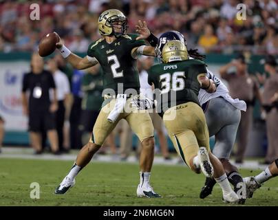 Steven Bench Usf