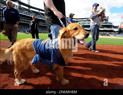 Bark in the Park 2016 at Citi Field, Blog