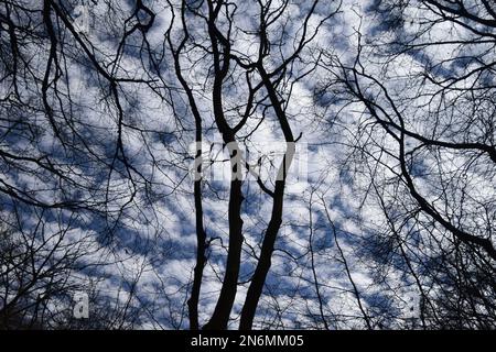 Patterns in the sky Stock Photo