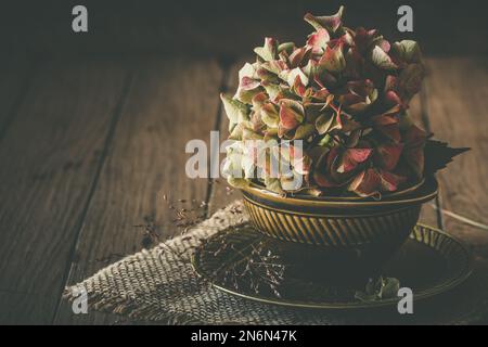 Half-dried and slightly faded pink hydrangea flower in an old, green soup bowl on dark wooden background, beautiful vintage autumn decoration Stock Photo