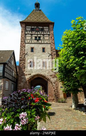 Bergheim, a small town on the route des vins in Alsace with medieval buildings, a defensive wall and a lovely atmosphere Stock Photo