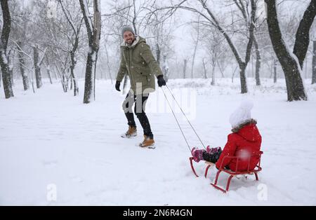 Father sledding his child outside on winter day. Christmas vacation Stock Photo