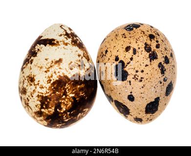 two boiled quail eggs cutout on white background Stock Photo