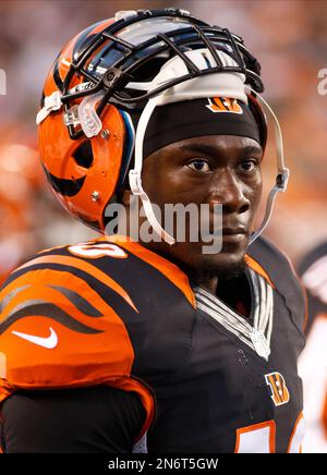 Bengals safety Shawn Williams is enjoying a brilliant season despite  battling numerous injuries.