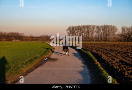 Woman with Down Syndrome driving the tricycle during a colorful winter landscape during the golden hour, Tienen, Flanders, Belgium Stock Photo