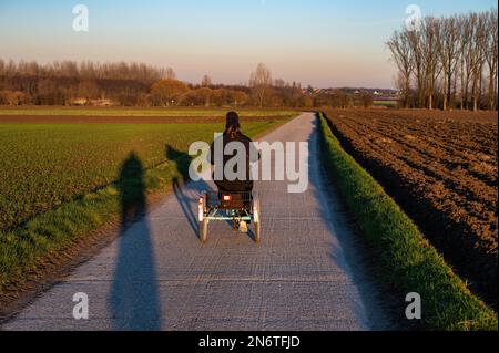 Woman with Down Syndrome driving the tricycle during a colorful winter landscape during the golden hour, Tienen, Flanders, Belgium Stock Photo