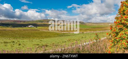 A panoramic view taking in Birk Rigg and the whole of Cronkley Scar round to Widdybank in the far distance Stock Photo