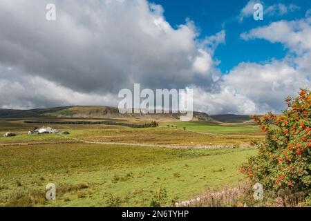 The whole of Cronkley Scar from the roadside by Hanging Shaw car park at Forest in Teesdale. Stock Photo