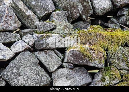Derbyshire drystone wall covered in moss Stock Photo