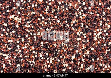 Quinoa seeds background. Mix of white, red and black quinoa. Top view Stock Photo