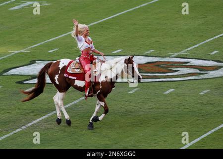 Warpaint, The Kansas City Chiefs mascot, gallops after a touchdown