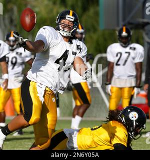 Pittsburgh Steelers tight end Rodney Williams (87) stretches before an NFL  preseason football game against the Tampa Bay Buccaneers, Friday, Aug. 11,  2023, in Tampa, Fla. (AP Photo/Peter Joneleit Stock Photo - Alamy