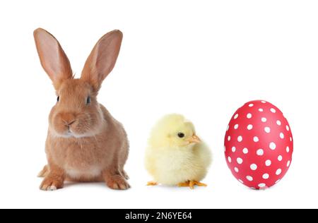 Cute bunny, baby chick and bright Easter egg on white background Stock Photo