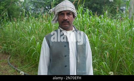 Asian farmer standing at green millet or sorghum agriculture field. Stock Photo