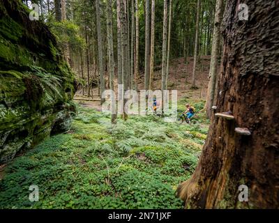 E-mountain biker on single trail in the Müller Valley. The Müllerthal is characterized by the eroded sandstone rocks, which indicate a past sea. The region is also called 'Luxembourg's Little Switzerland'. Stock Photo