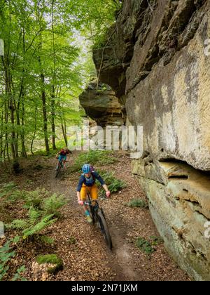 E-mountain biker on single trail in the Müller Valley. The Müllerthal is characterized by the eroded sandstone rocks, which indicate a past sea. The region is also called 'Luxembourg's Little Switzerland'. Stock Photo