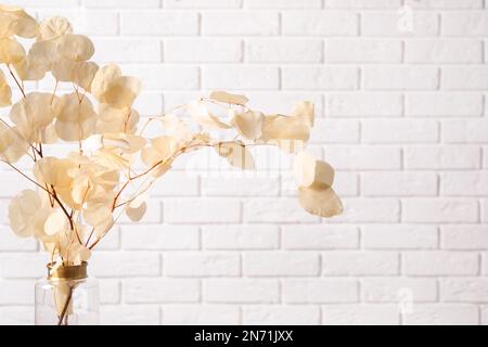 Dried eucalyptus branches in vase against white brick wall Stock Photo
