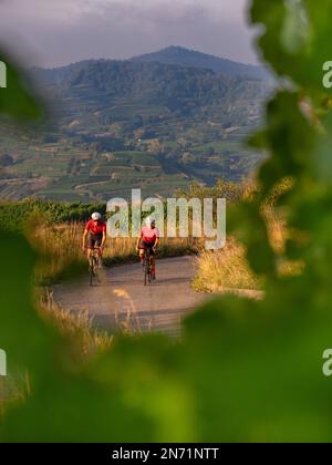 Curves, serpentines and vineyard terraces at the Mondhalde, Kaiserstuhl Stock Photo