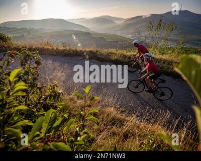 Curves, serpentines and vineyard terraces at the Mondhalde, Kaiserstuhl Stock Photo