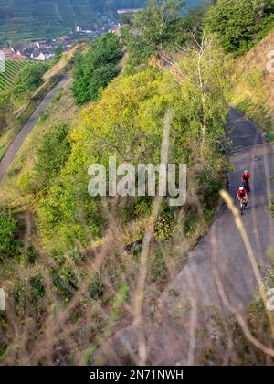 Curves, serpentines and vineyard terraces at the Mondhalde, Kaiserstuhl Stock Photo