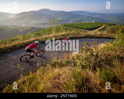 Curves, serpentines and vineyard terraces at the Mondhalde, Kaiserstuhl Stock Photo